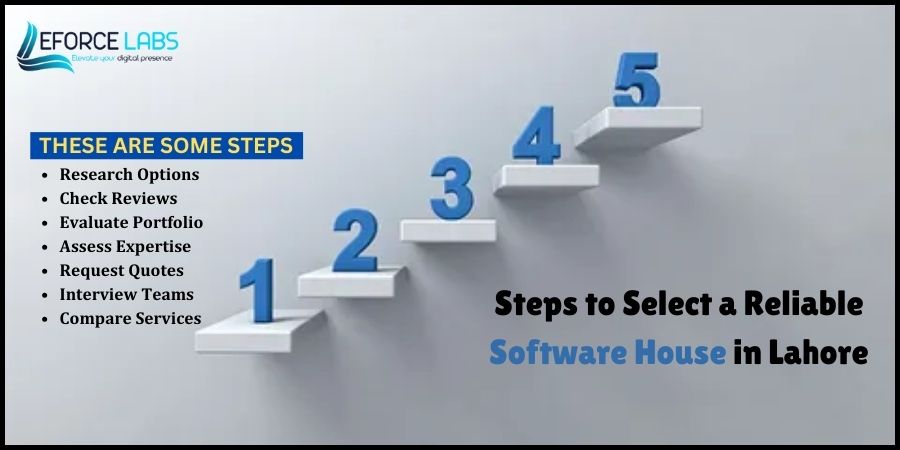 Software House in Lahore