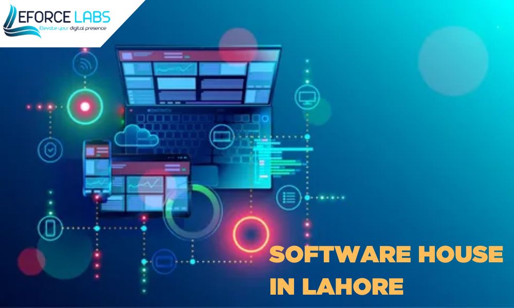 Software House in Lahore