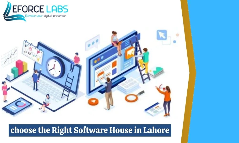 right software house in Lahore