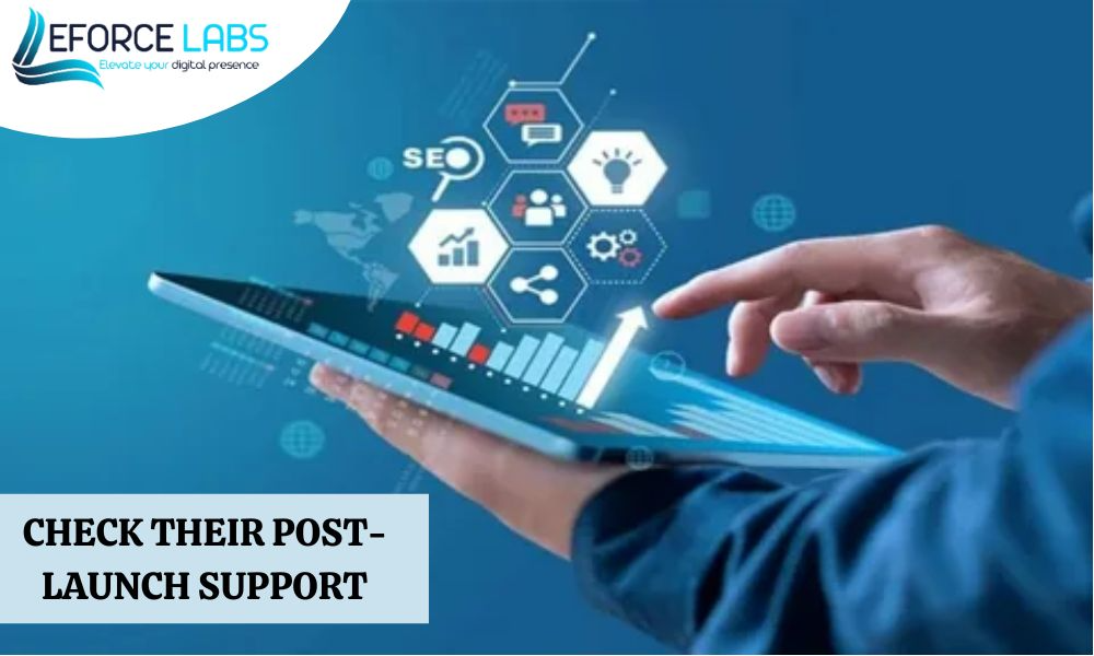 Check Their Post-Launch Support